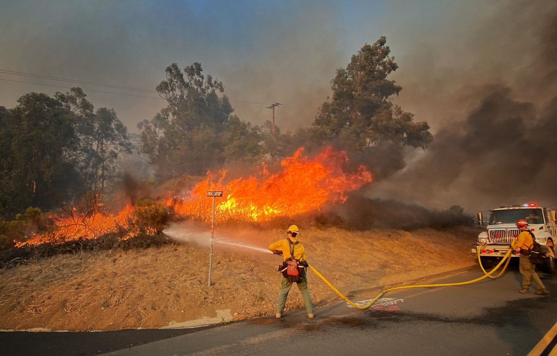 Alisal Fire 7